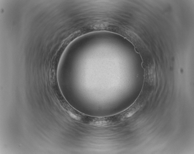 X0000059080228200510172037