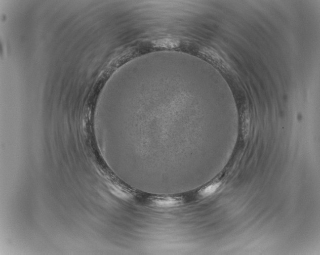 X0000059080229200510172037