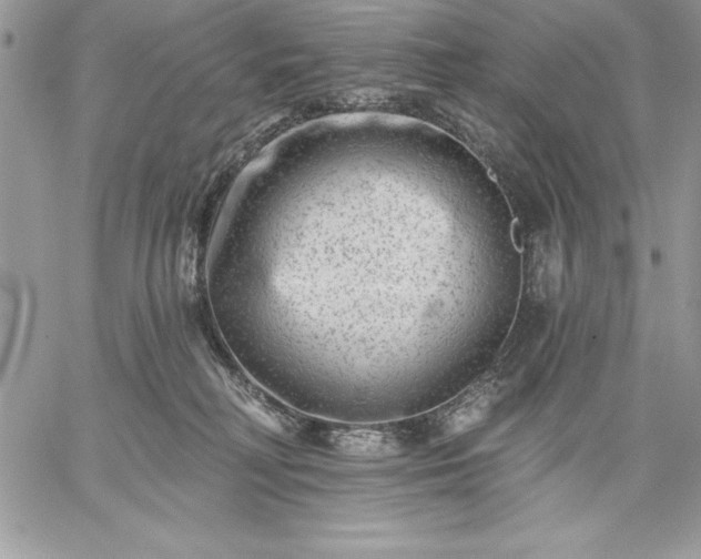 X0000059080230200510172037