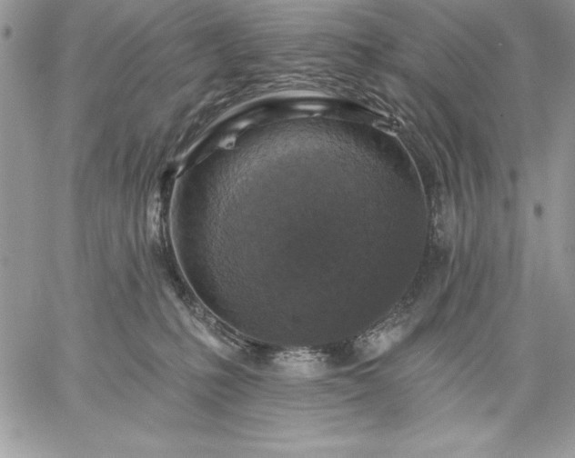 X0000059080231200510172037