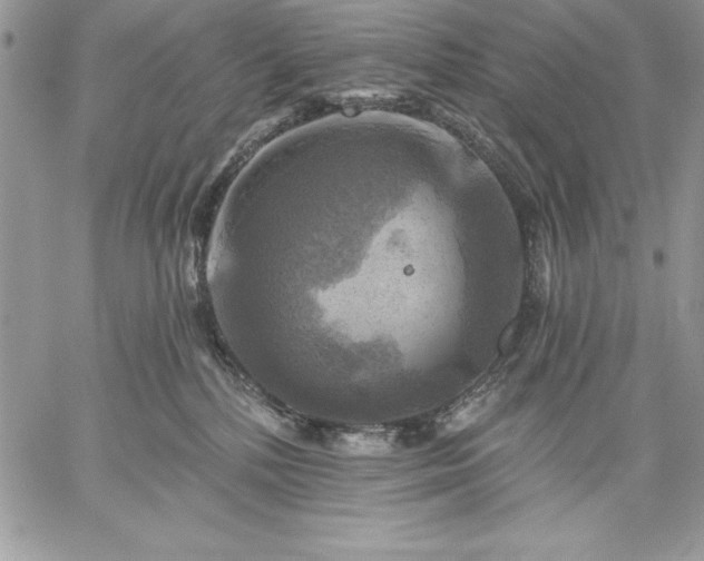 X0000059080232200510172037