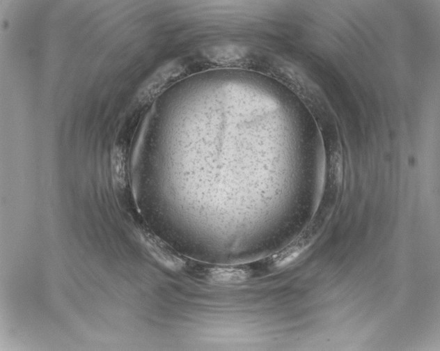 X0000059080234200510172037