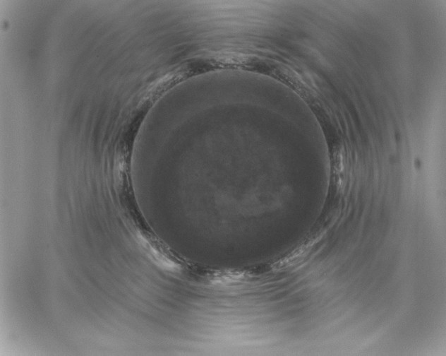 X0000059080235200510172037