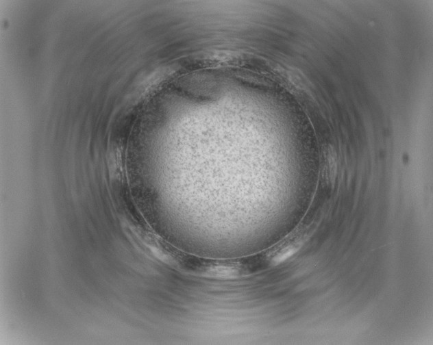 X0000059080236200510172037