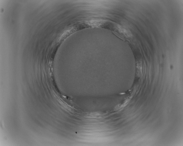 X0000059080237200510172037