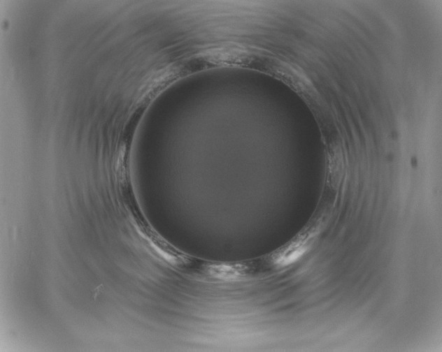 X0000059080239200510172037