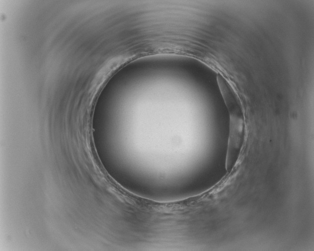 X0000059080241200510172037