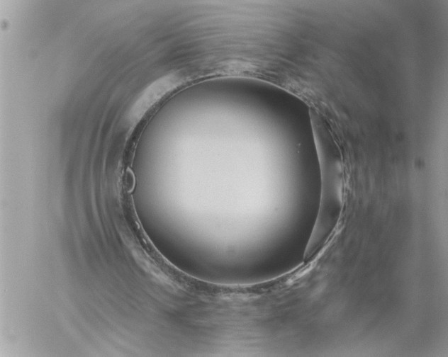 X0000059080242200510172037