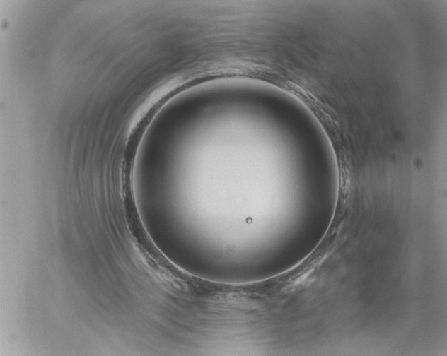 X0000059080244200510172037