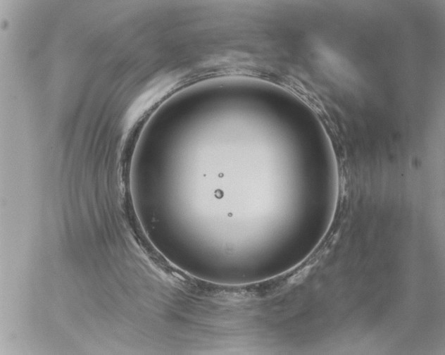 X0000059080245200510172037