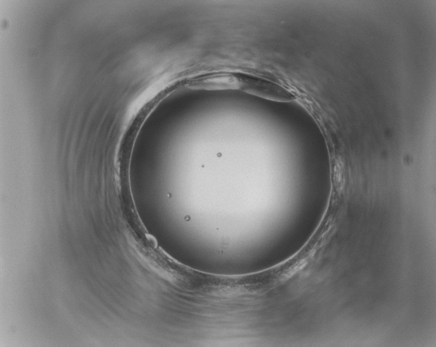 X0000059080246200510172037