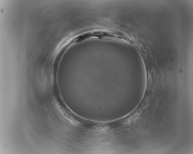 X0000059080247200510172037