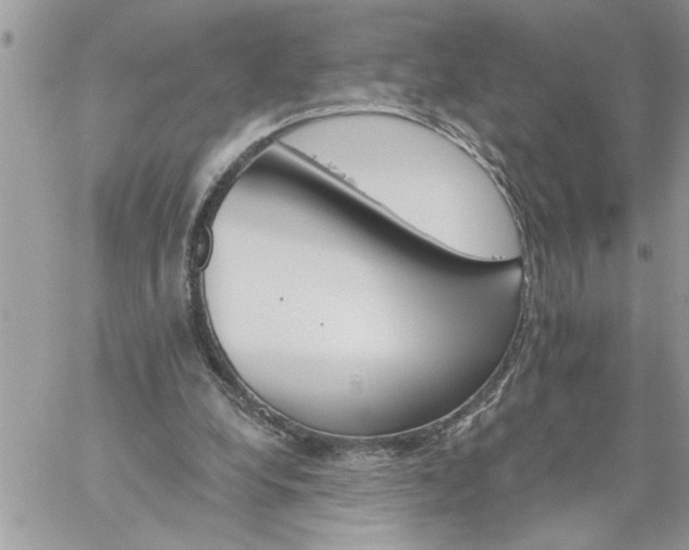 X0000059080248200510172037