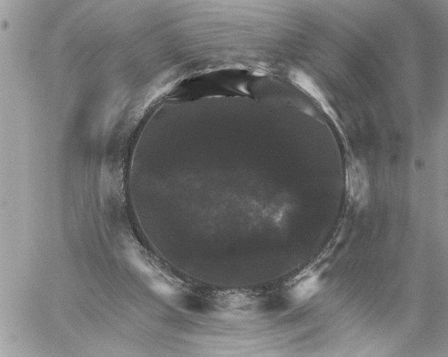 X0000059080249200510172037