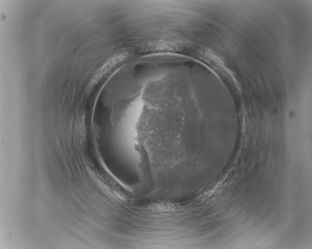 X0000059080250200510172037