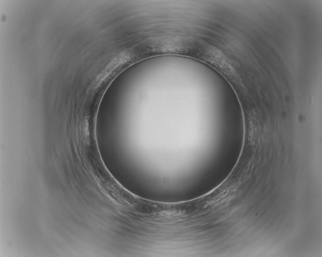 X0000059080251200510172037