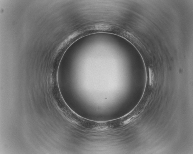 X0000059080252200510172037