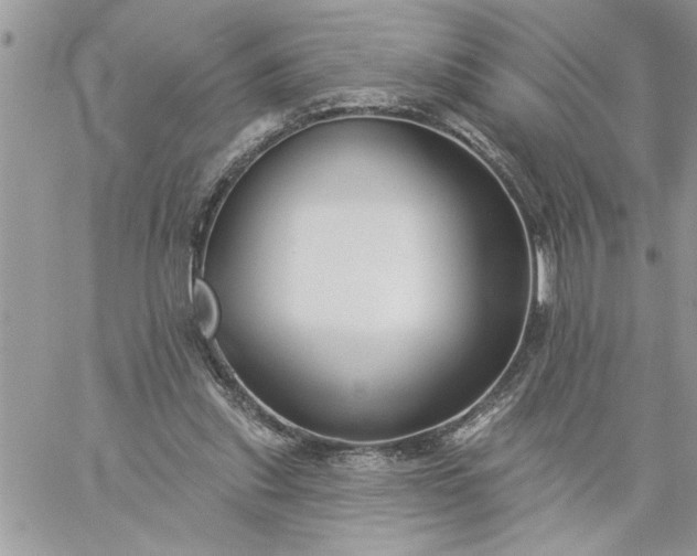 X0000059080253200510172037