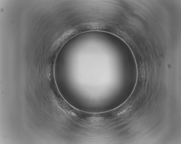 X0000059080255200510172037