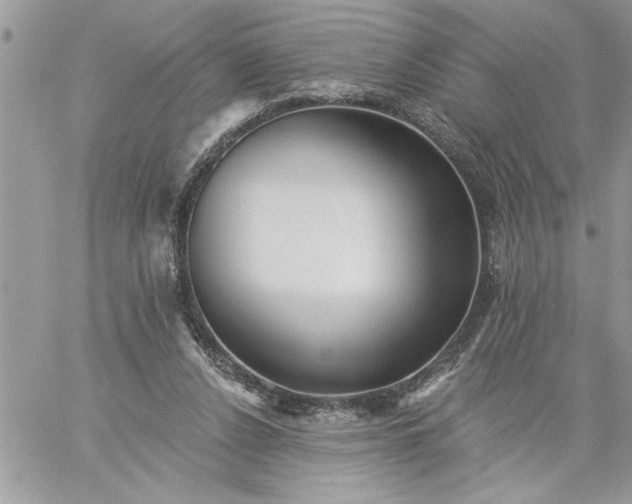 X0000059080256200510172037