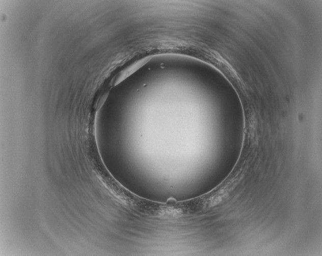 X0000059080257200510172037