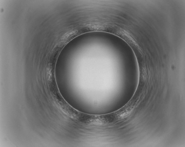 X0000059080259200510172037