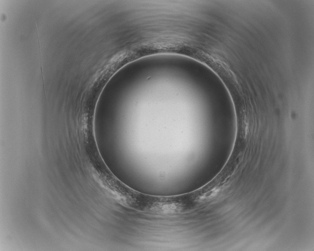 X0000059080260200510172037