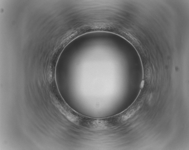 X0000059080261200510172037