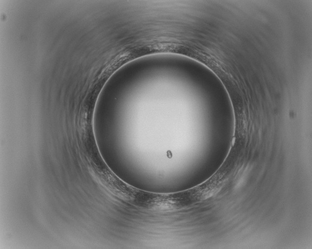 X0000059080263200510172037