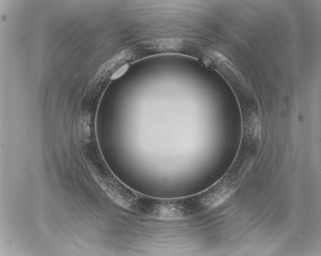 X0000059080264200510172037