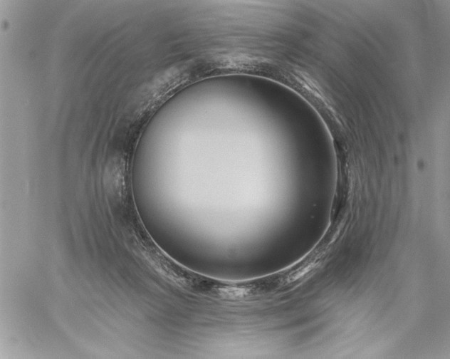 X0000059080265200510172037