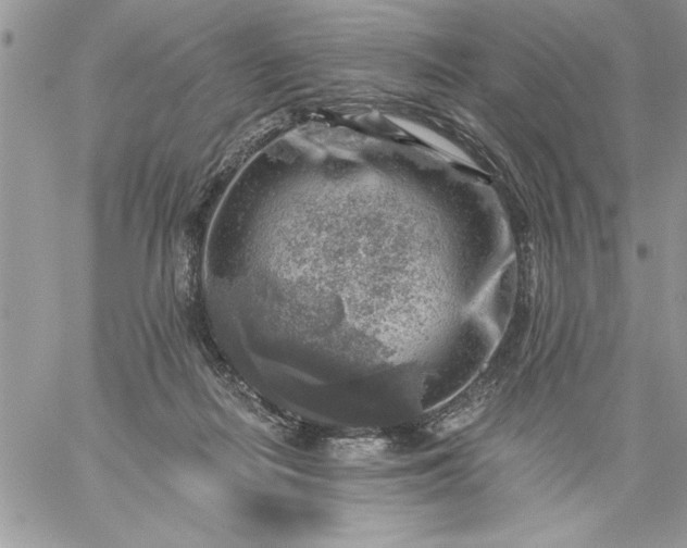 X0000059080266200510172037