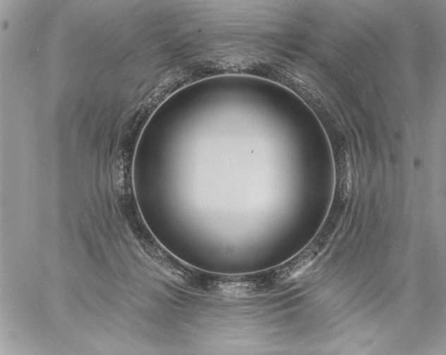 X0000059080268200510172037