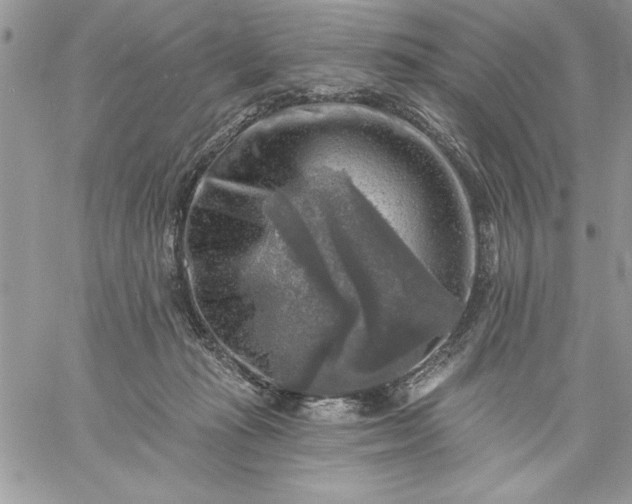 X0000059080269200510172037