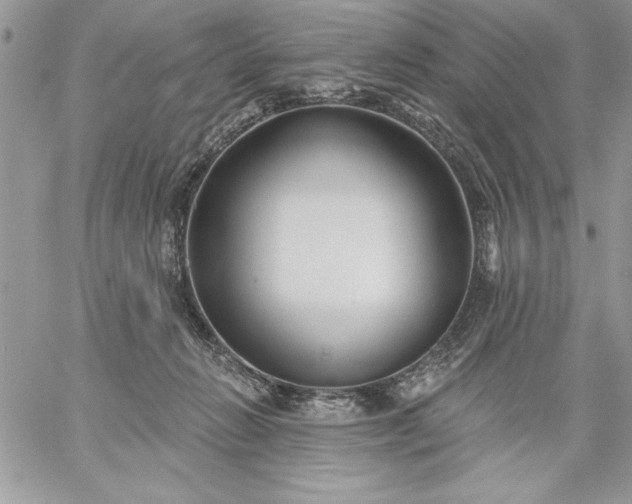 X0000059080270200510172037