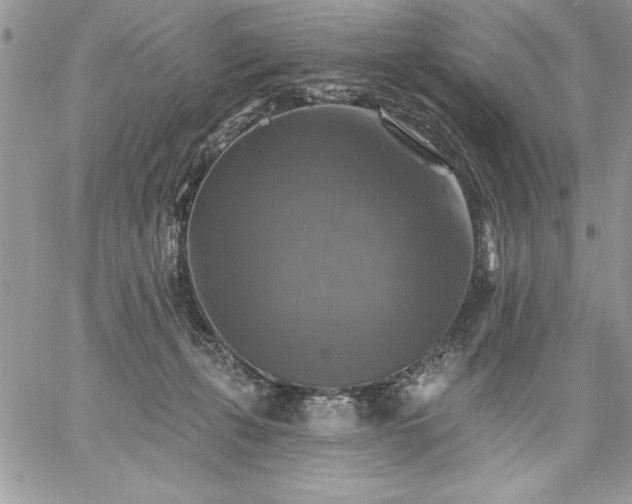 X0000059080271200510172037