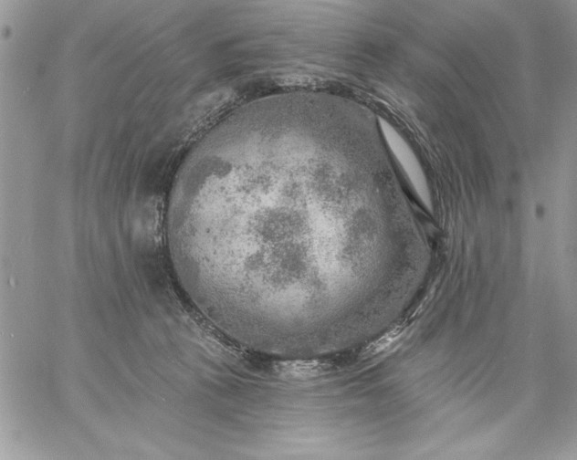 X0000059080273200510172037