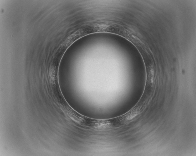 X0000059080274200510172037