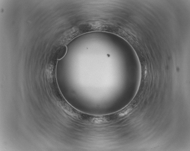 X0000059080275200510172037