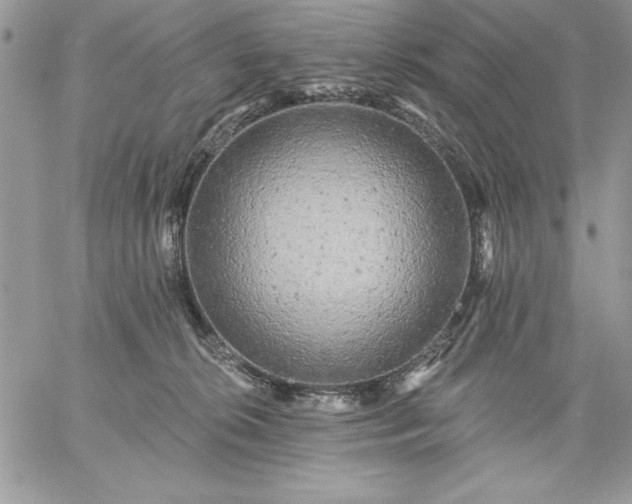 X0000059080276200510172037