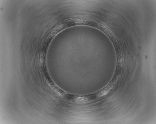 X0000059080277200510172037