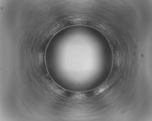 X0000059080278200510172037