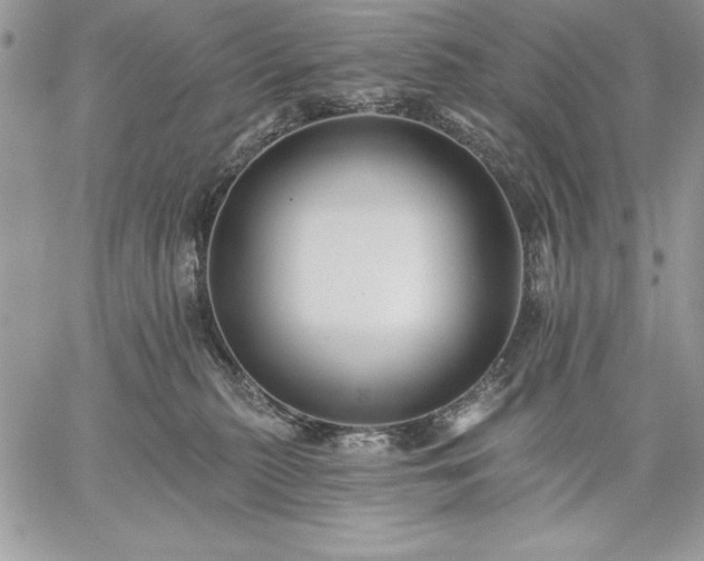 X0000059080279200510172037