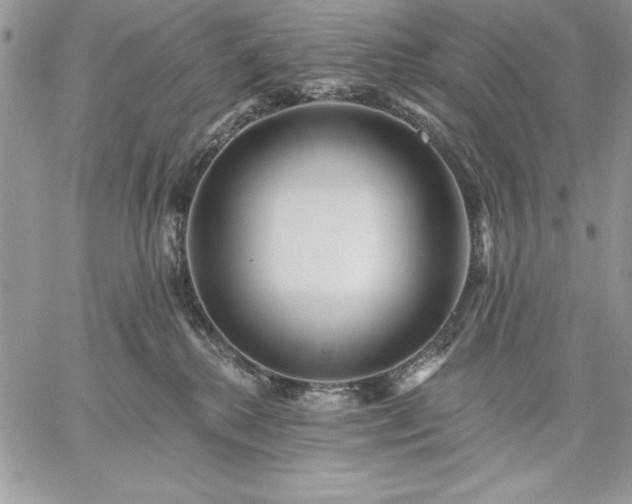 X0000059080280200510172037