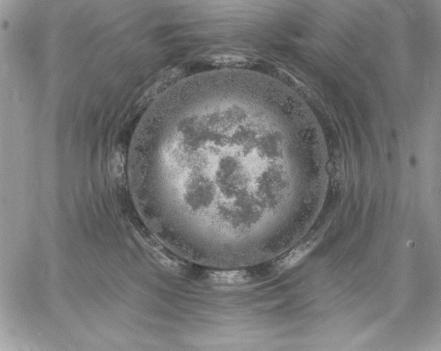 X0000059080281200510172037