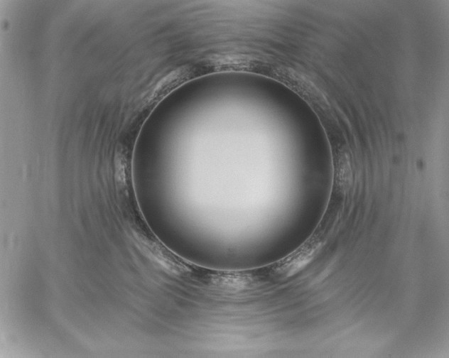 X0000059080282200510172037