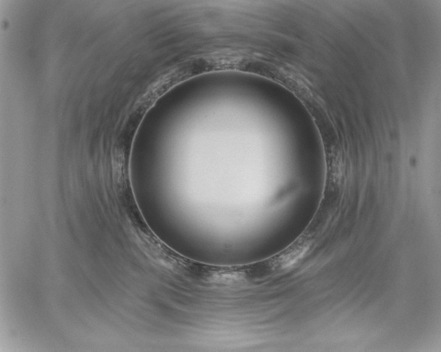 X0000059080283200510172037