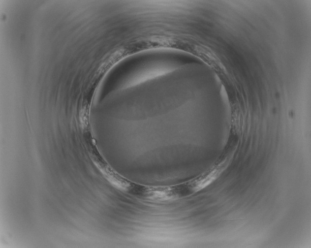 X0000059080285200510172037