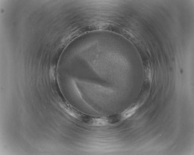 X0000059080286200510172037