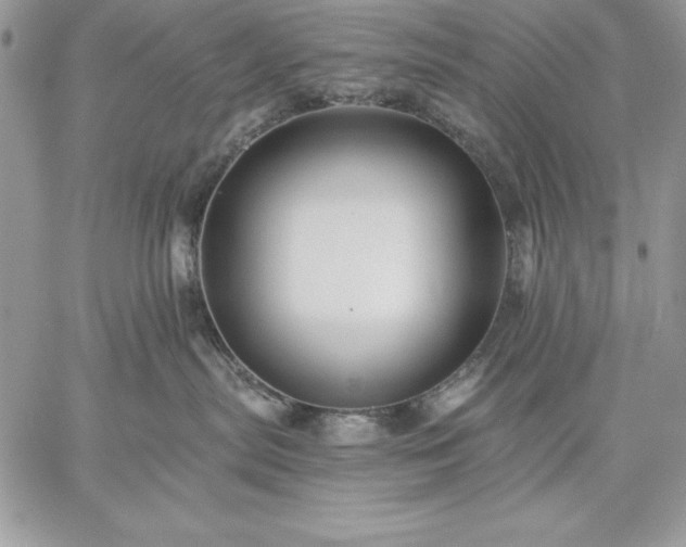 X0000059080287200510172037